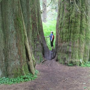 Meet your Posher, Laurel